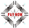 pay_now_paypal